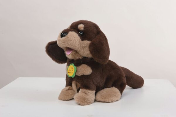 Smart Dachshund - Image 2