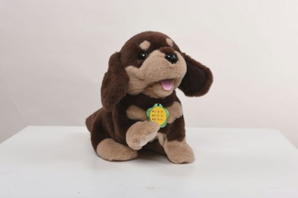 Smart Dachshund - Image 3