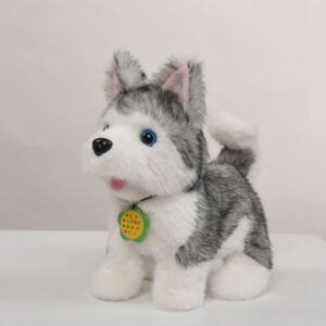 Smart Husky