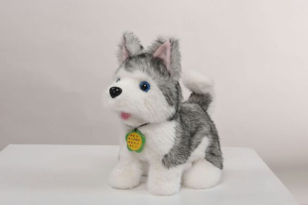 Smart Husky