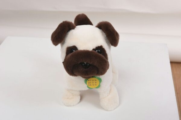 Smart Pug