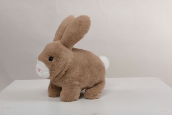 Brown Rabbit - Image 3