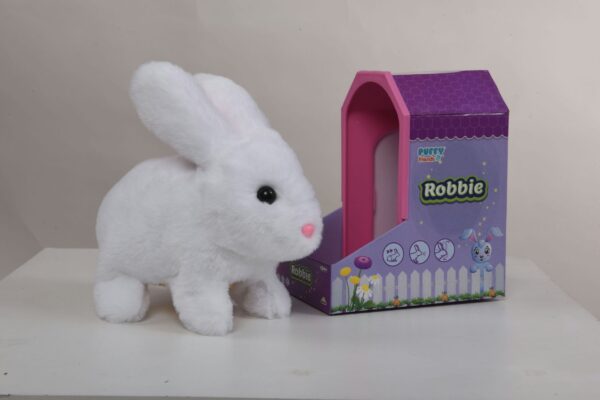 White Rabbit
