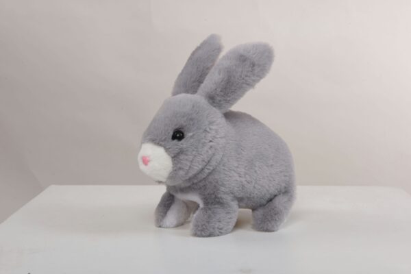 Gray Rabbit - Image 3