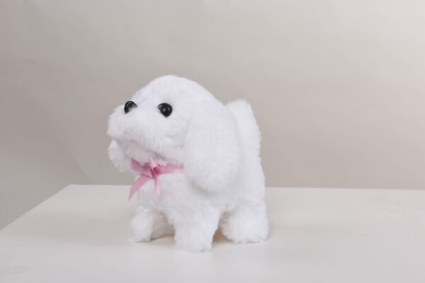 Cute Maltese - Image 2