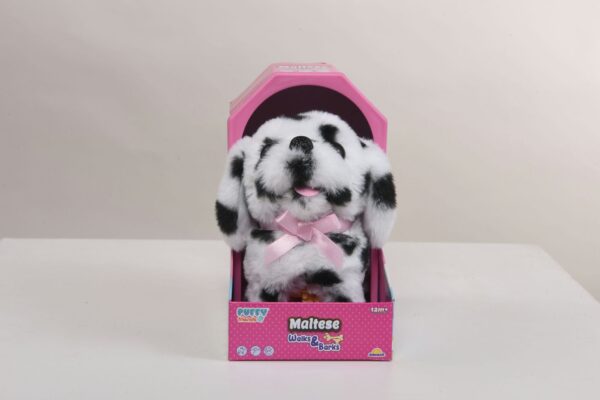Dalmatian - Image 2