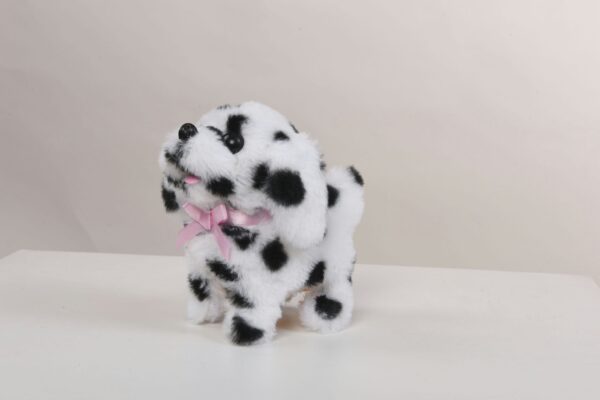 Dalmatian - Image 3