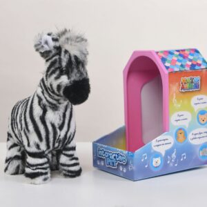Baby Zebra