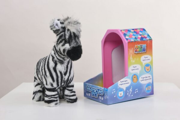 Baby Zebra