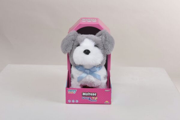 Grey Schnauzer - Image 3