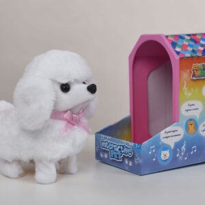 White Poodle