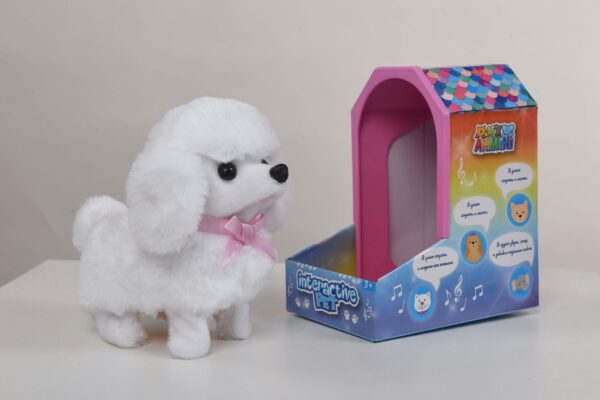 White Poodle