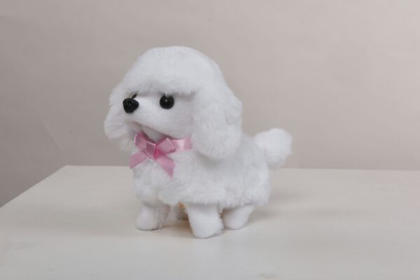 White Poodle - Image 3