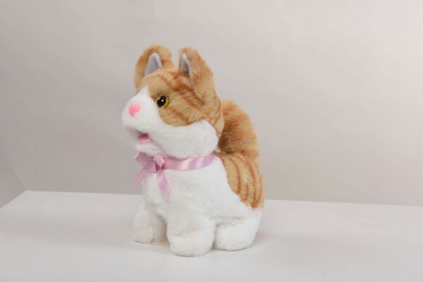 Brown Kitten - Image 2