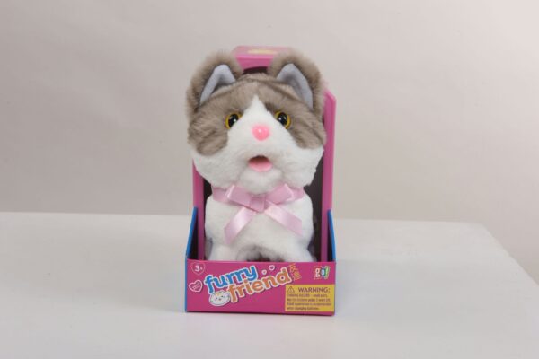 Grey Kitten - Image 2
