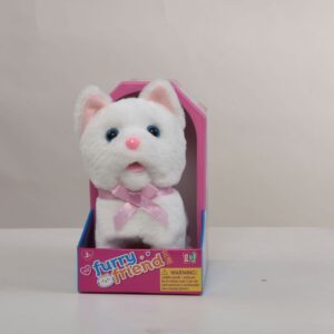 White Kitten