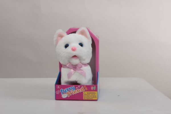 White Kitten