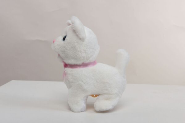 White Kitten - Image 2