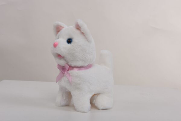 White Kitten - Image 3