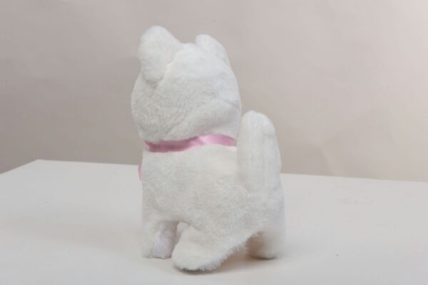 White Kitten - Image 4