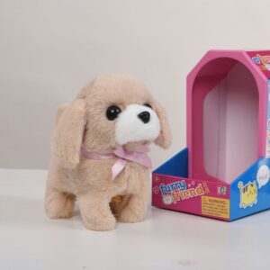 Cute Puppy