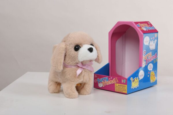 Cute Puppy