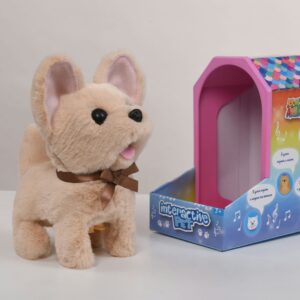 9307-7RB Brown Chihuahua