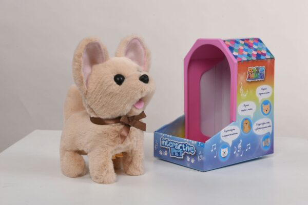 9307-7RB Brown Chihuahua