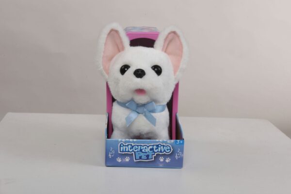 9307-7RW White Chihuahua - Image 3
