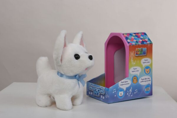 9307-7RW White Chihuahua